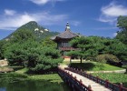 在北京妇幼，开启试管婴儿之旅